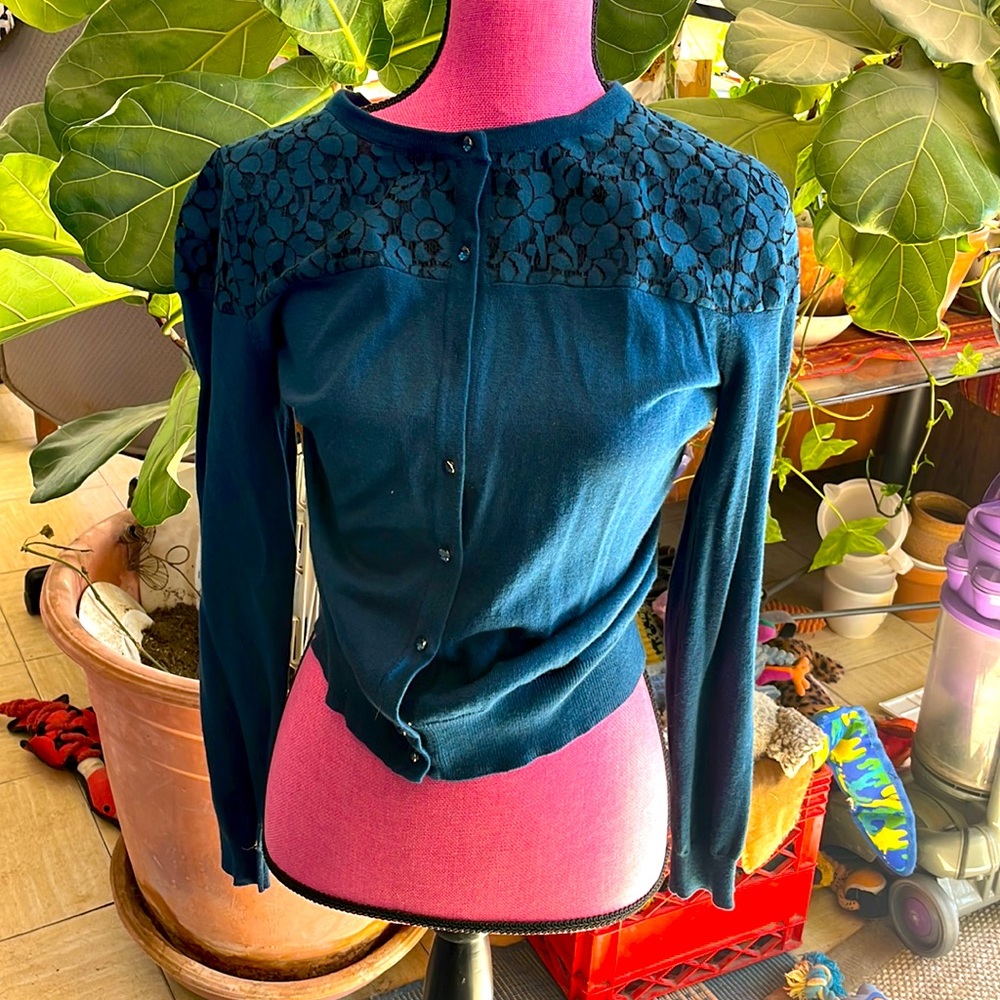 New York And Company Knit Top Long Sleeve  Blue Size Large NWT